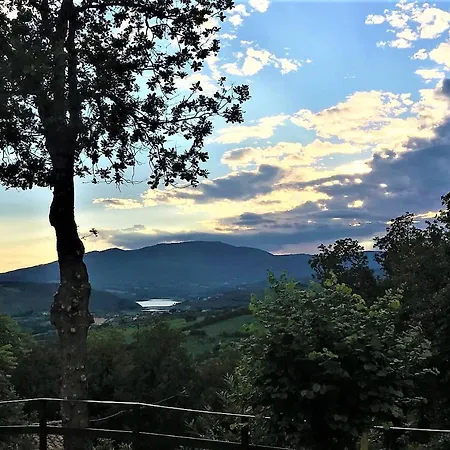 Danya Country Guest house 4*
